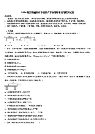 2024届河南省焦作市温县八下物理期末复习检测试题含解析.doc