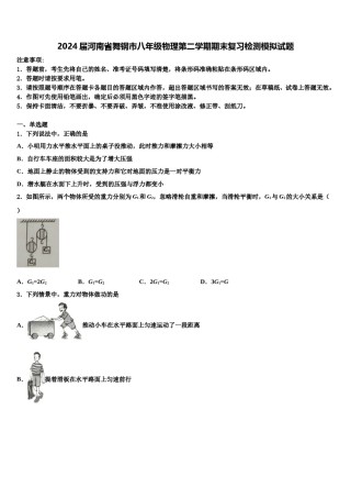 2024届河南省舞钢市八年级物理第二学期期末复习检测模拟试题含解析.doc