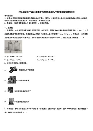 2024届浙江省台州市天台实验中学八下物理期末调研试题含解析.doc