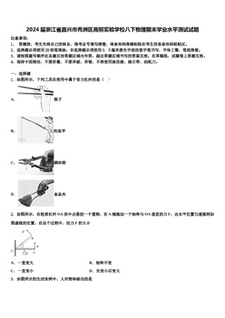 2024届浙江省嘉兴市秀洲区高照实验学校八下物理期末学业水平测试试题含解析.doc