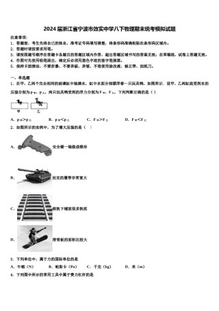 2024届浙江省宁波市效实中学八下物理期末统考模拟试题含解析.doc