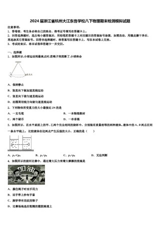 2024届浙江省杭州大江东各学校八下物理期末检测模拟试题含解析.doc