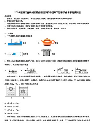 2024届浙江省杭州实验外国语学校物理八下期末学业水平测试试题含解析.doc