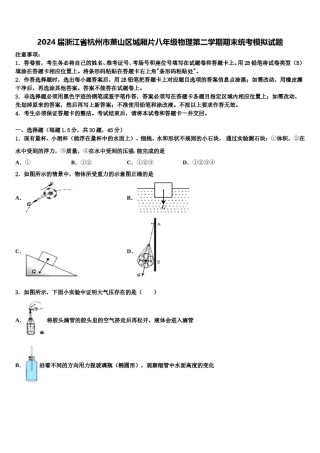 2024届浙江省杭州市萧山区城厢片八年级物理第二学期期末统考模拟试题含解析.doc