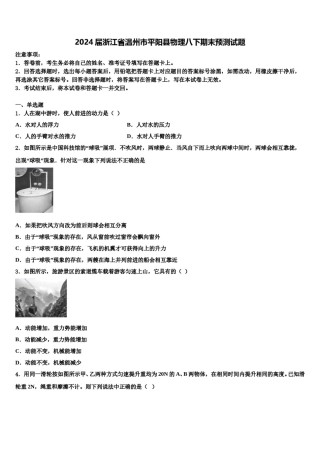 2024届浙江省温州市平阳县物理八下期末预测试题含解析.doc