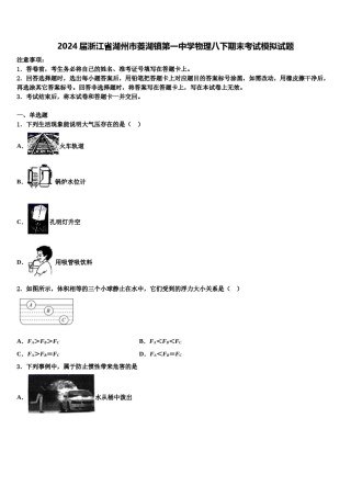 2024届浙江省湖州市菱湖镇第一中学物理八下期末考试模拟试题含解析.doc