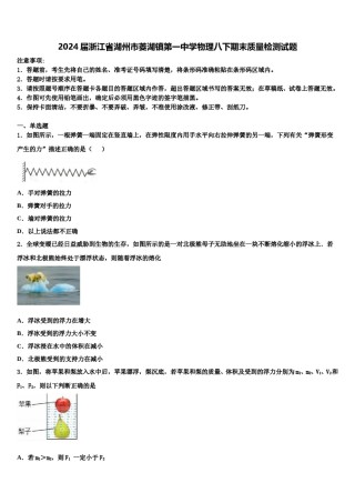 2024届浙江省湖州市菱湖镇第一中学物理八下期末质量检测试题含解析.doc