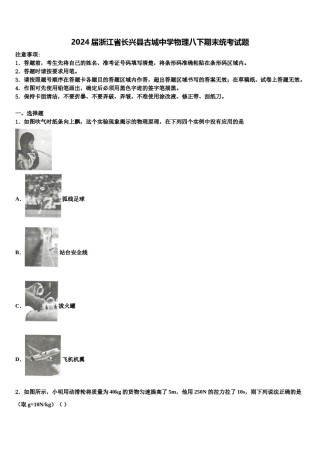 2024届浙江省长兴县古城中学物理八下期末统考试题含解析.doc