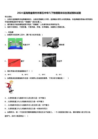 2024届海南省儋州市第五中学八下物理期末综合测试模拟试题含解析.doc