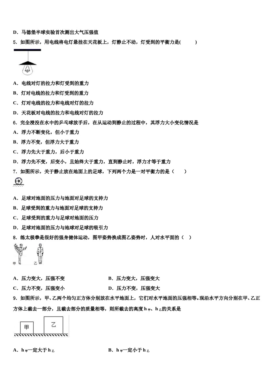 2024届海南省海口市琼山区长流实验学校八下物理期末达标检测试题含解析.doc_第2页