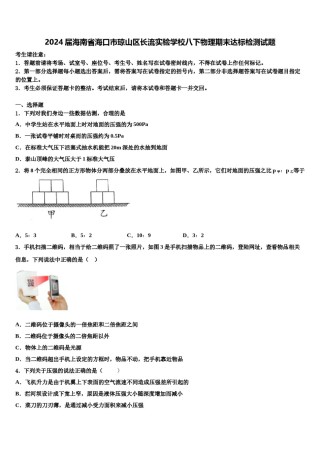 2024届海南省海口市琼山区长流实验学校八下物理期末达标检测试题含解析.doc