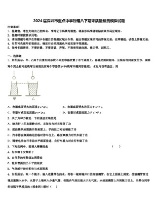 2024届深圳市重点中学物理八下期末质量检测模拟试题含解析.doc