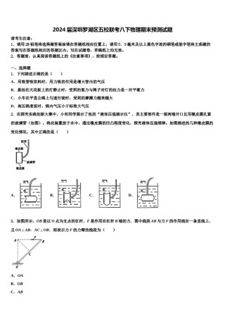 2024届深圳罗湖区五校联考八下物理期末预测试题含解析.doc