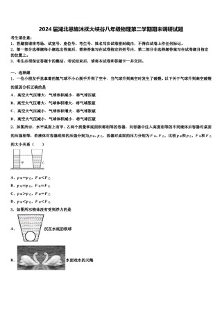 2024届湖北恩施沐抚大峡谷八年级物理第二学期期末调研试题含解析.doc