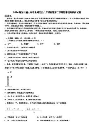 2024届湖北省大冶市金湖街办八年级物理第二学期期末统考模拟试题含解析.doc