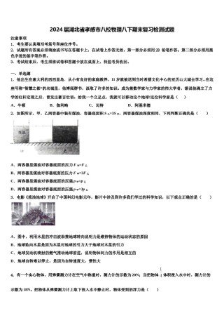 2024届湖北省孝感市八校物理八下期末复习检测试题含解析.doc