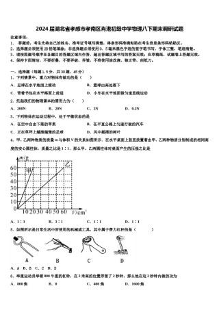 2024届湖北省孝感市孝南区肖港初级中学物理八下期末调研试题含解析.doc
