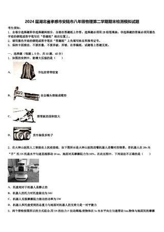 2024届湖北省孝感市安陆市八年级物理第二学期期末检测模拟试题含解析.doc