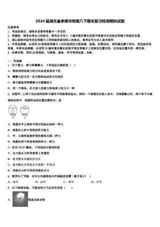 2024届湖北省孝感市物理八下期末复习检测模拟试题含解析.doc