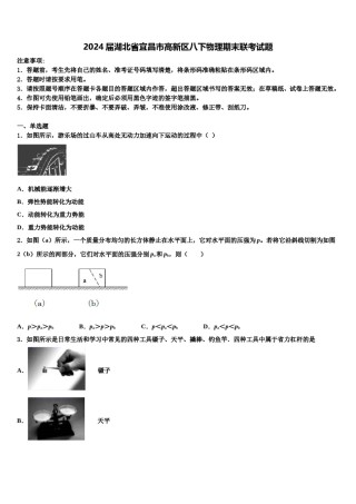 2024届湖北省宜昌市高新区八下物理期末联考试题含解析.doc