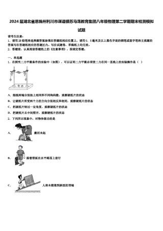 2024届湖北省恩施州利川市谋道镇苏马荡教育集团八年级物理第二学期期末检测模拟试题含解析.doc
