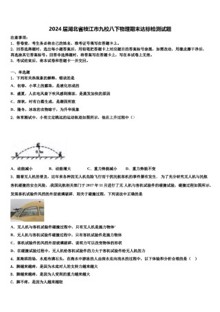 2024届湖北省枝江市九校八下物理期末达标检测试题含解析.doc