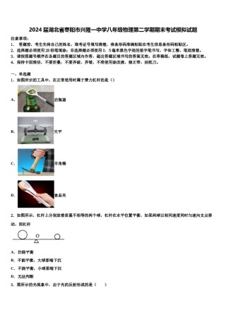 2024届湖北省枣阳市兴隆一中学八年级物理第二学期期末考试模拟试题含解析.doc