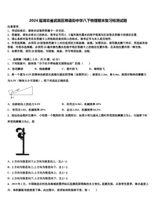 2024届湖北省武昌区粮道街中学八下物理期末复习检测试题含解析.doc