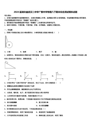 2024届湖北省武汉二中学广雅中学物理八下期末综合测试模拟试题含解析.doc