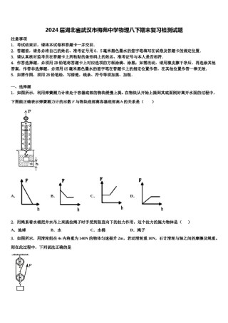 2024届湖北省武汉市梅苑中学物理八下期末复习检测试题含解析.doc