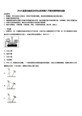2024届湖北省武汉市洪山区物理八下期末调研模拟试题含解析.doc