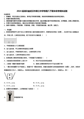 2024届湖北省武汉市第三中学物理八下期末统考模拟试题含解析.doc