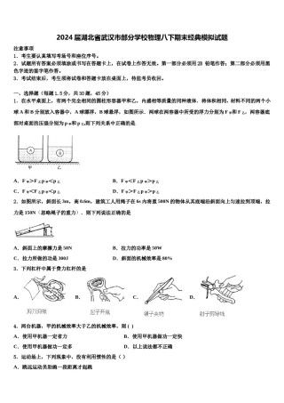 2024届湖北省武汉市部分学校物理八下期末经典模拟试题含解析.doc