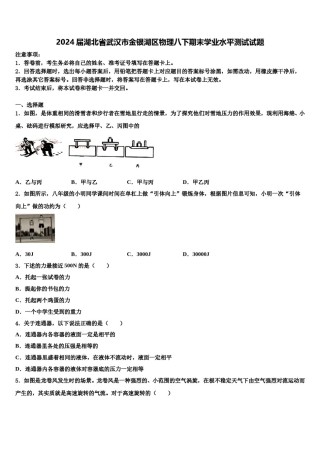 2024届湖北省武汉市金银湖区物理八下期末学业水平测试试题含解析.doc