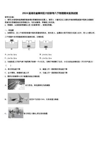 2024届湖北省襄州区六校联考八下物理期末监测试题含解析.doc