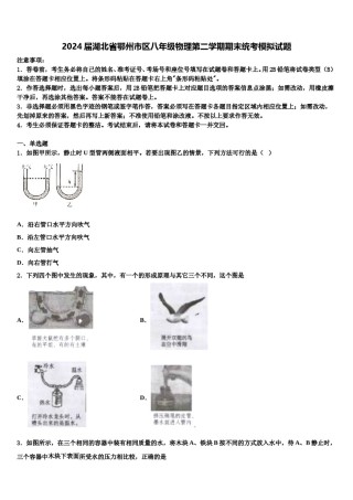 2024届湖北省鄂州市区八年级物理第二学期期末统考模拟试题含解析.doc