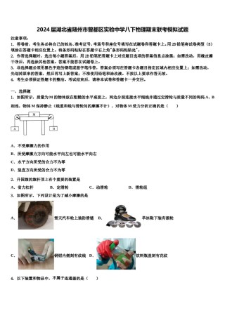 2024届湖北省随州市曾都区实验中学八下物理期末联考模拟试题含解析.doc