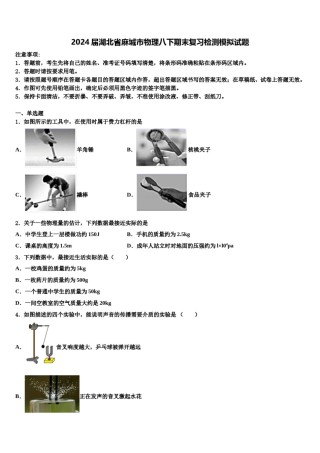 2024届湖北省麻城市物理八下期末复习检测模拟试题含解析.doc