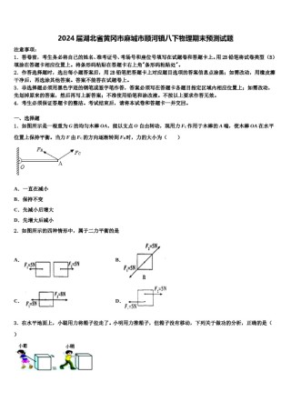2024届湖北省黄冈市麻城市顺河镇八下物理期末预测试题含解析.doc