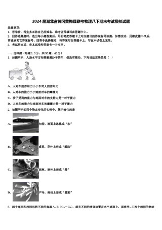 2024届湖北省黄冈黄梅县联考物理八下期末考试模拟试题含解析.doc