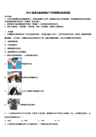 2024届湖北省黄梅县八下物理期末监测试题含解析.doc
