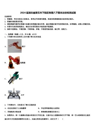 2024届湖北省黄石市下陆区物理八下期末达标检测试题含解析.doc