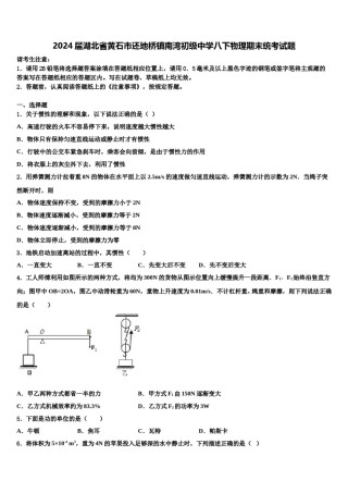 2024届湖北省黄石市还地桥镇南湾初级中学八下物理期末统考试题含解析.doc