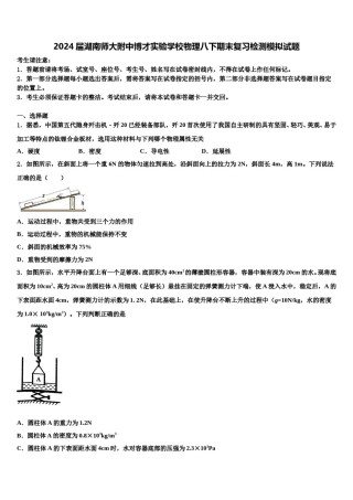 2024届湖南师大附中博才实验学校物理八下期末复习检测模拟试题含解析.doc