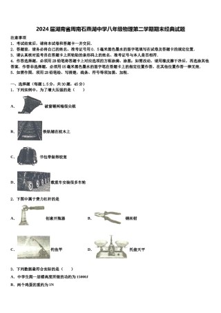 2024届湖南省周南石燕湖中学八年级物理第二学期期末经典试题含解析.doc