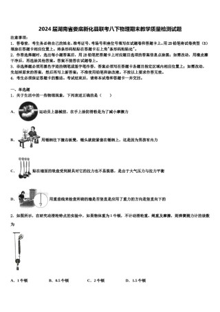 2024届湖南省娄底新化县联考八下物理期末教学质量检测试题含解析.doc