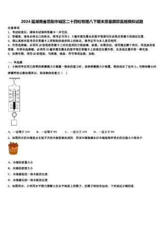 2024届湖南省岳阳市城区二十四校物理八下期末质量跟踪监视模拟试题含解析.doc