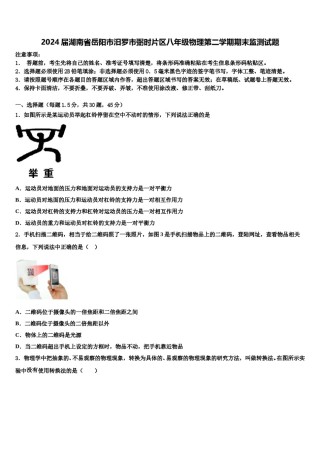 2024届湖南省岳阳市汨罗市弼时片区八年级物理第二学期期末监测试题含解析.doc