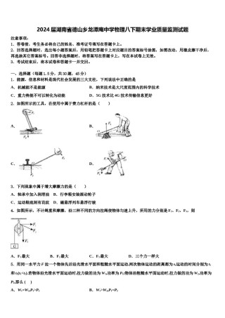 2024届湖南省德山乡龙潭庵中学物理八下期末学业质量监测试题含解析.doc