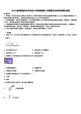 2024届湖南省怀化市名校八年级物理第二学期期末达标检测模拟试题含解析.doc